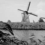 mills at Kinderdijk, Netherlands