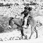 kids on a donkey in Petra Jordan ancient city world wonder