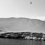 Islas Ballestas, Paracas Candelabra Peru prehistoric geoglyph