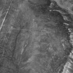 Hummingbird Nazca lines Peru