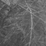 Flying Condor Nazca lines Peru