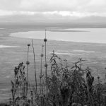 View on the Ngorongoro crater from the Top