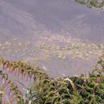 active volcano Poas Costa Rica