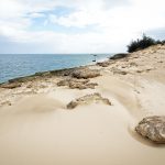 amazing view on the sand dunes and the indian ocean in Bazaruto island in Mozambique Africa