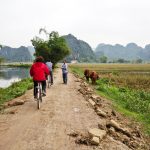 people biking in tam coc vietnam and talking to a local with his cows