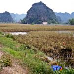 Vietnamese conical straw hat on the bike of a rice field worker waiting for her to bring what she picked