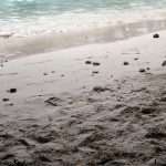 the only picture I could take of Maya Bay without people on it....