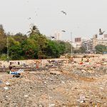 The Versova beach in Mumbai was once full of plastic. It has now been cleaned up thanks to the efforts of Afroz Shah