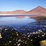 laguna colorada 04