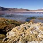 laguna colorada 11