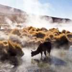 laguna colorada 16