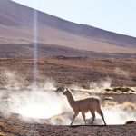 laguna colorada 17
