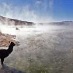 laguna colorada 18