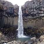 waterfall Svartifoss one of the most well known waterfalls in Iceland that falls on dark lava columns in Skaftafell