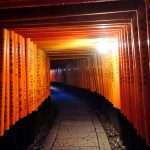 Fushimi Inari Shrine torii gates with their inscriptions at night in Kyoto