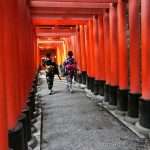 japanese people walking in between the many torii gates of the Fushimi Inari shrine in Kyoto Japan
