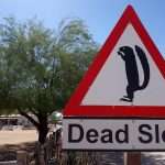 A sign of Dead Slow in the Solitaire Gas sation in the middle of the Namib Desert in Namibia
